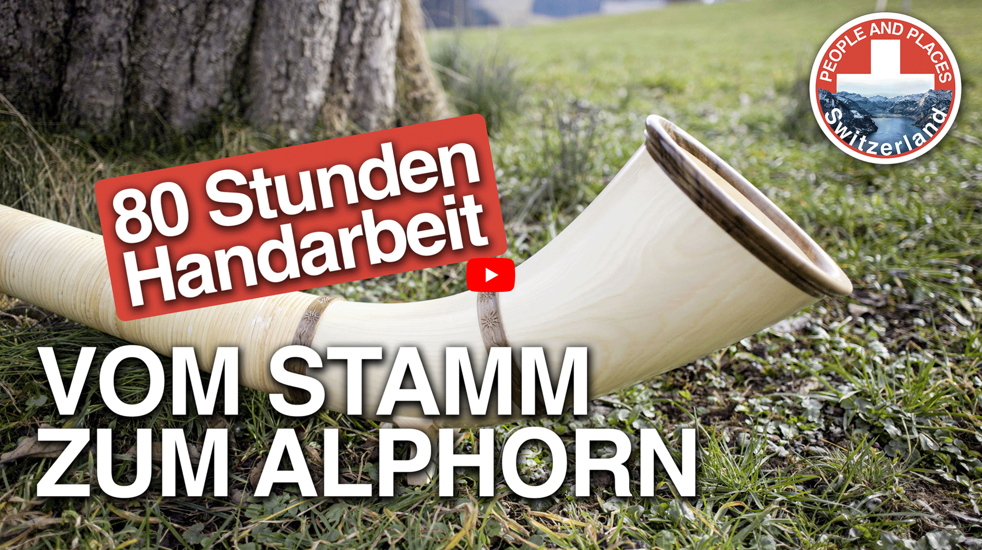 Video abspielen